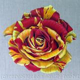 Heirloom Gannan Rose - Square Greetings Card