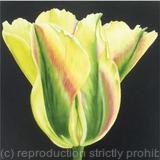 Golden Artist - Greetings Card