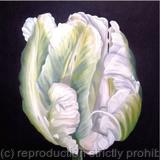 White Parrot Tulip - Greetings Card