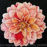 Babylon Bronze Dahlia - Greetings Card