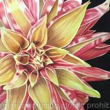 Giraffe Dahlia - Medium Greetings Card