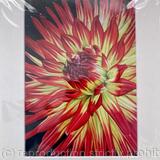 Dahlia Weston Spanish Dancer - Print