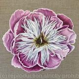 Bowl of Beauty Peony