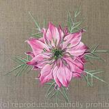 Pink Love in the Mist