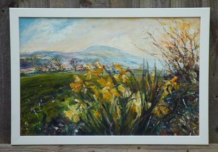 Breezy Daffodils with Penhill from Old Glebe Field, Wensleydale.