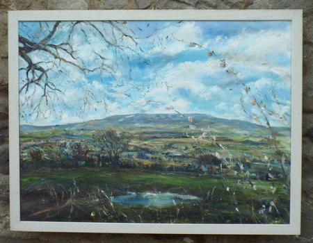 After A Long Winter, Penhill with Pussy Willow, Wensleydale