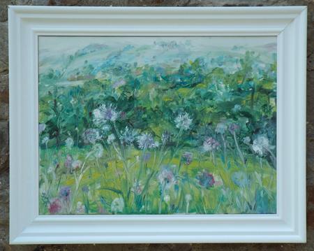 Breezy Scabious, Swaledale.