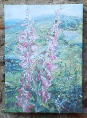 Teesdale with Foxgloves.