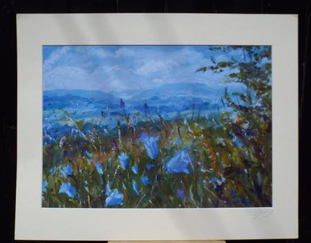 Harebells with Penhill from Leyburn Shawl, Wensleydale