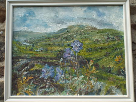 Meadow Cranesbill with Semerwater, Raydale.