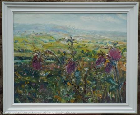 Melancholy Thistles towards Aysgarth, Wensleydale