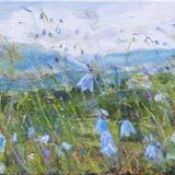 Caught in the breeze 