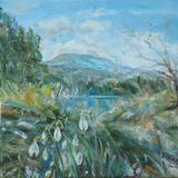 River Ure with Snowdrops near Wensley, Wensleydale.