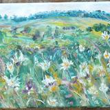 Oxeye Daisies with Polly Peacham's Tower, Old Glebe Field, Near Wensley.