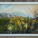 Breezy Daffodils with Penhill from Old Glebe Field, Wensleydale.