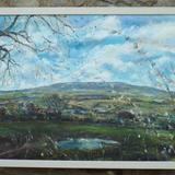 After A Long Winter, Penhill with Pussy Willow, Wensleydale