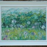 Breezy Scabious, Swaledale.