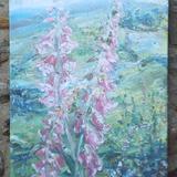 Teesdale with Foxgloves.