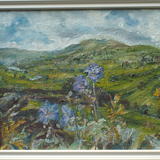 Meadow Cranesbill with Semerwater, Raydale.