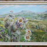 Carline Thistles with Addlebrough, Wensleydale.