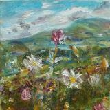 Red Clover and Oxeye Daisies, Old Glebe Field, Wensleydale