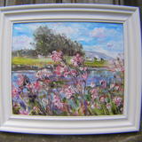 Pink Campion and the River Ure, Near Wensley.