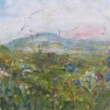 Meadow Flowers with Penhill, Wensleydale