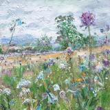 Harebell and scabius, Old Glebe Field, Wensleydale