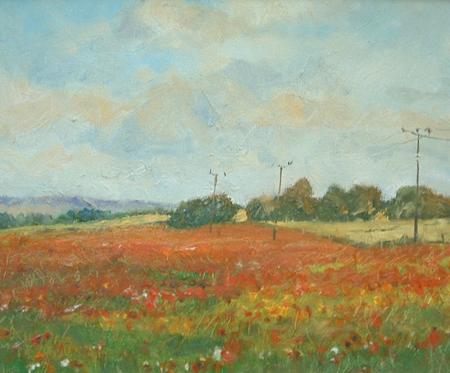 Poppies at Fosters Booth