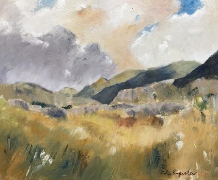 Scafells from the Duddon Valley 