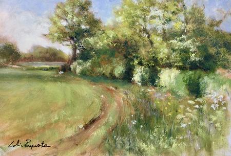 Spring Afternoon Litchborough