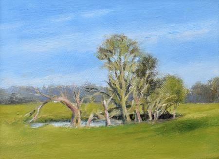 Little Pool at Fosters Booth