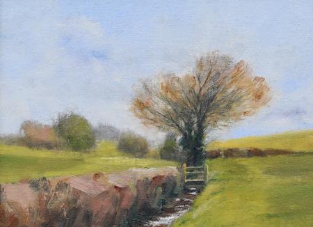 Footbridge near Pattishall