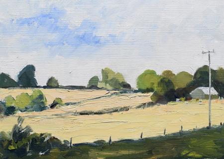 Mown Grass, Cold Higham 