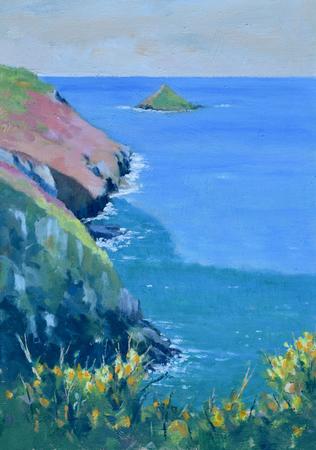 Mouls Island, Port Quinn Cornwall