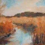 Minsmere Nature Reserve