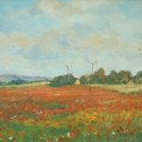 Poppies at Fosters Booth