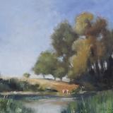 Charlecote Afternoon