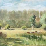 Towcester Watermeadows