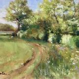 Spring Afternoon Litchborough