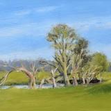 Little Pool at Fosters Booth