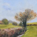 Footbridge near Pattishall