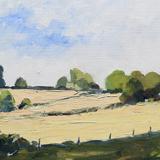 Mown Grass, Cold Higham 