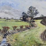 Sharp Light at Foxley