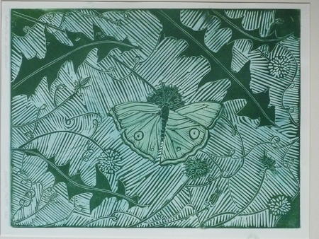 Butterfly on Dandelions