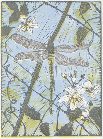 Dragonfly on Bramble