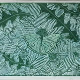 Butterfly on Dandelions