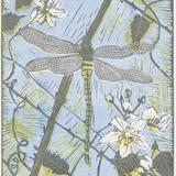 Dragonfly on Bramble