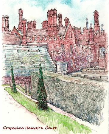 The Great Grape Vine