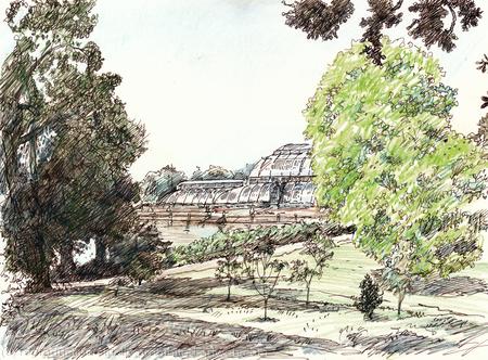 Palm House Kew
